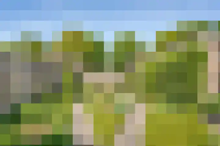 Koezenkamp 32 Dalfsen thumbnail 42