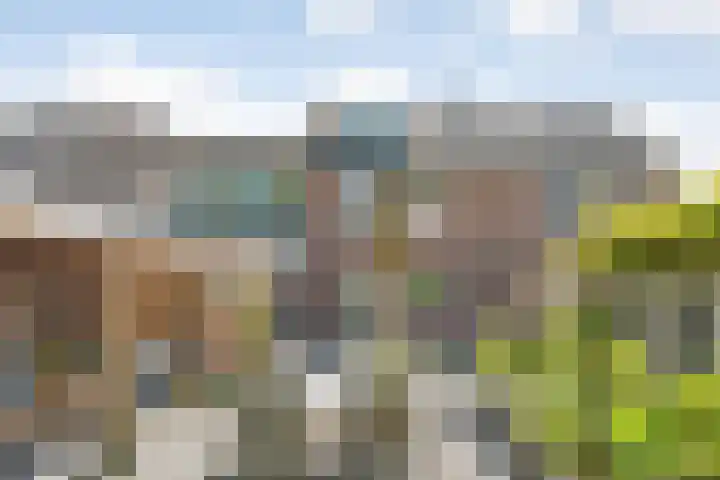 Koezenkamp 32 Dalfsen thumbnail 43