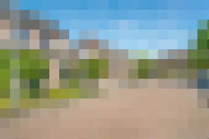 Koezenkamp 32 Dalfsen thumbnail 44