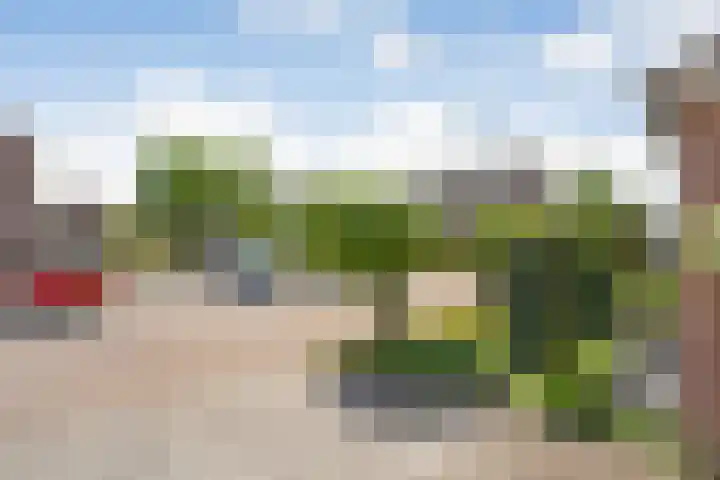 Koezenkamp 32 Dalfsen thumbnail 45