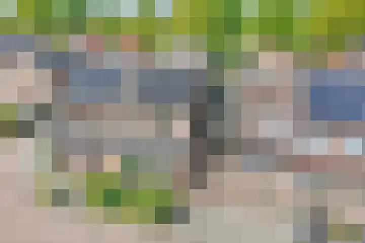 Koezenkamp 32 Dalfsen thumbnail 46