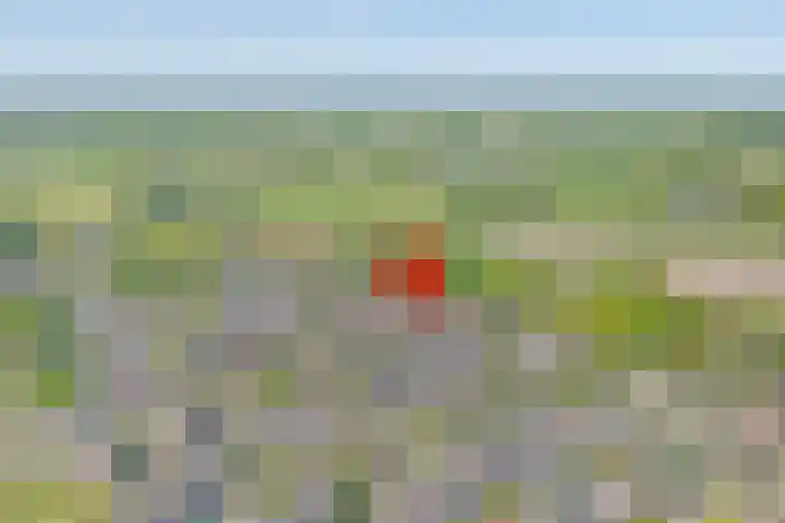 Koezenkamp 32 Dalfsen thumbnail 47