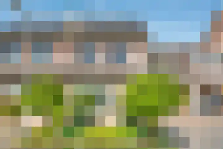 Koezenkamp 32 Dalfsen thumbnail 5