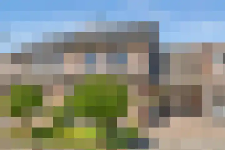 Koezenkamp 32 Dalfsen thumbnail 52