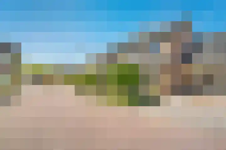 Koezenkamp 32 Dalfsen thumbnail 6