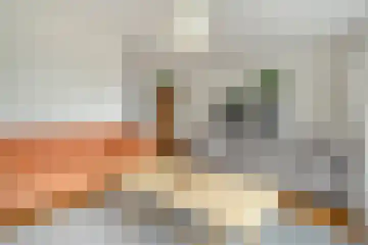 Koezenkamp 38 Dalfsen thumbnail 12
