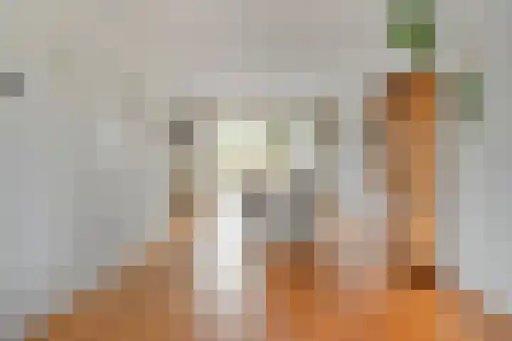 Koezenkamp 38 Dalfsen thumbnail 14