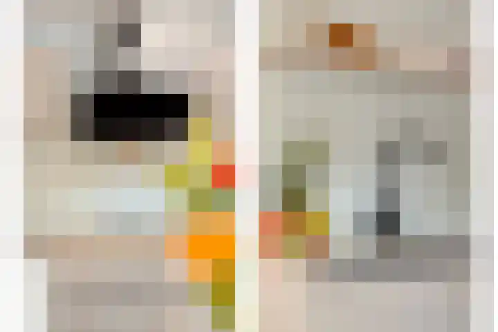 Koezenkamp 38 Dalfsen thumbnail 18