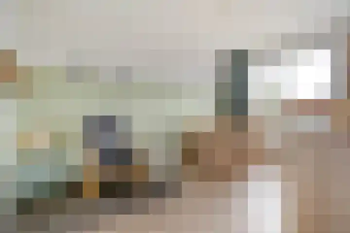 Koezenkamp 38 Dalfsen thumbnail 28