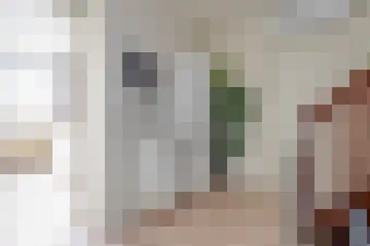 Koezenkamp 38 Dalfsen thumbnail 30