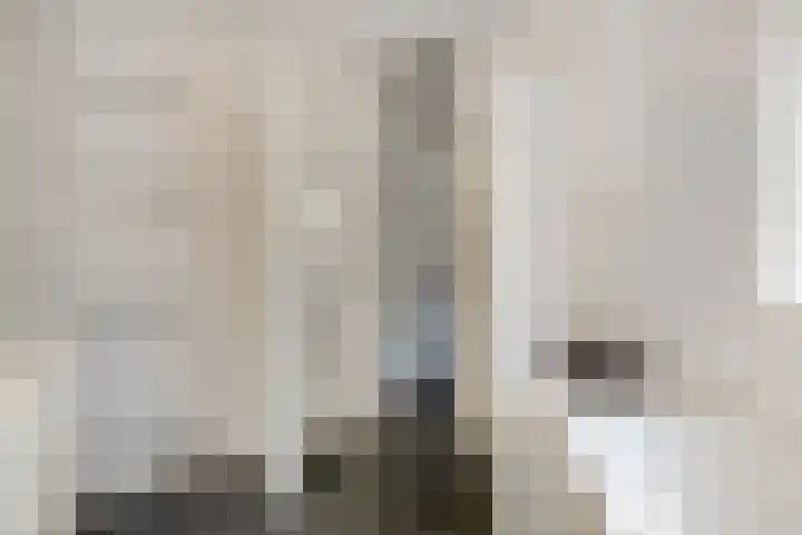 Koezenkamp 38 Dalfsen thumbnail 33