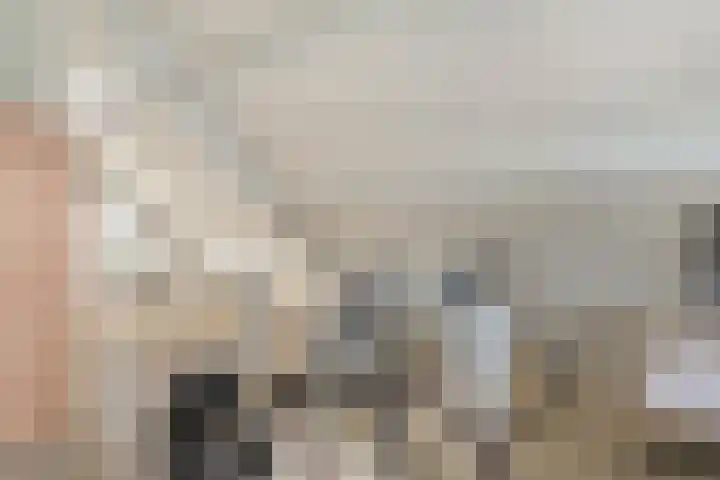 Koezenkamp 38 Dalfsen thumbnail 36