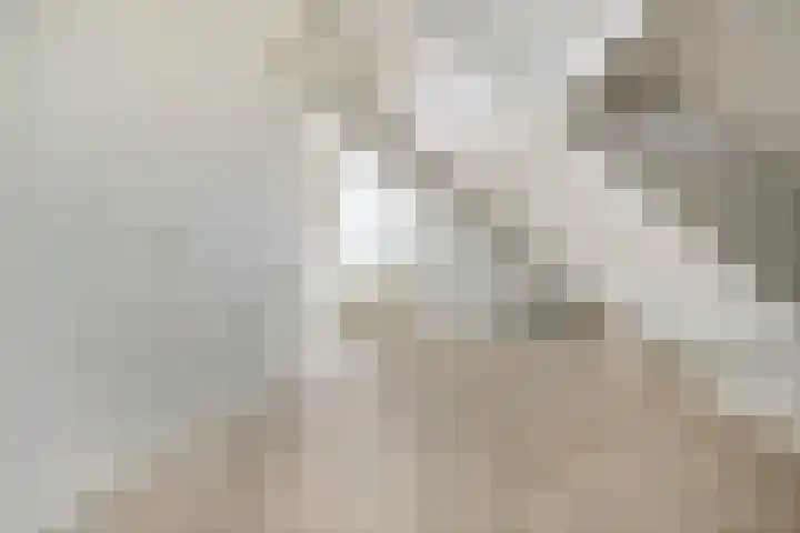 Koezenkamp 38 Dalfsen thumbnail 37