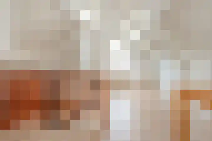 Koezenkamp 38 Dalfsen thumbnail 38