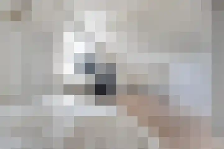 Koezenkamp 38 Dalfsen thumbnail 41