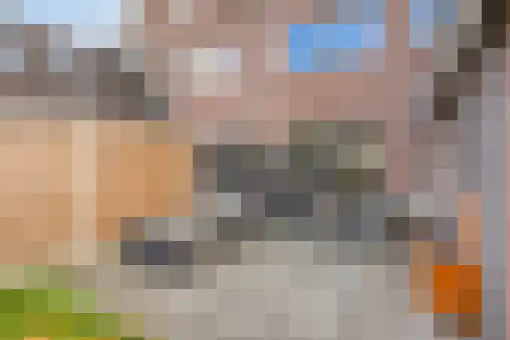 Koezenkamp 38 Dalfsen thumbnail 42