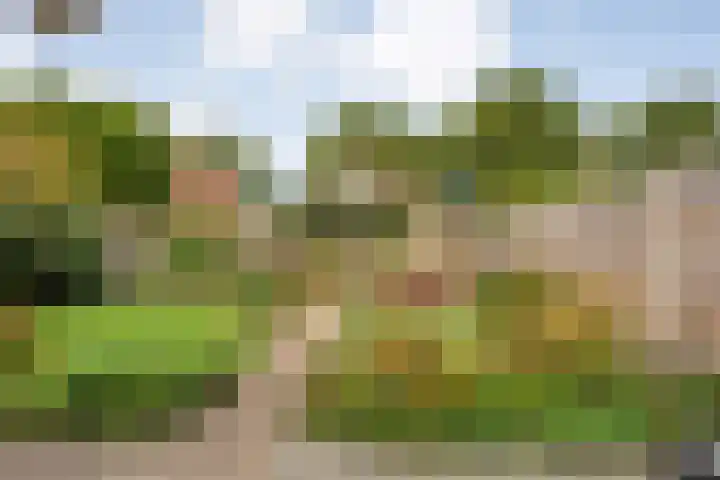 Koezenkamp 38 Dalfsen thumbnail 43
