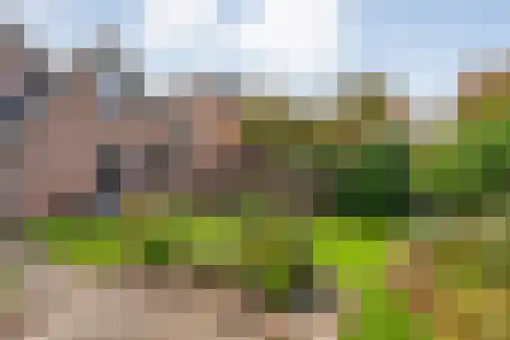 Koezenkamp 38 Dalfsen thumbnail 44