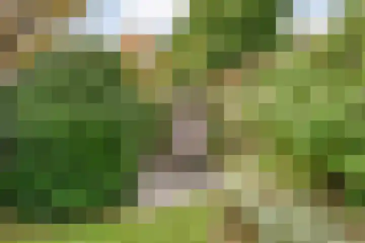 Koezenkamp 38 Dalfsen thumbnail 45
