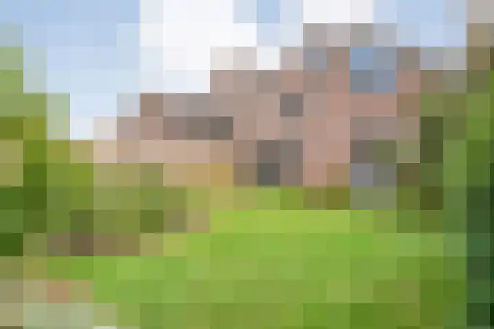 Koezenkamp 38 Dalfsen thumbnail 46