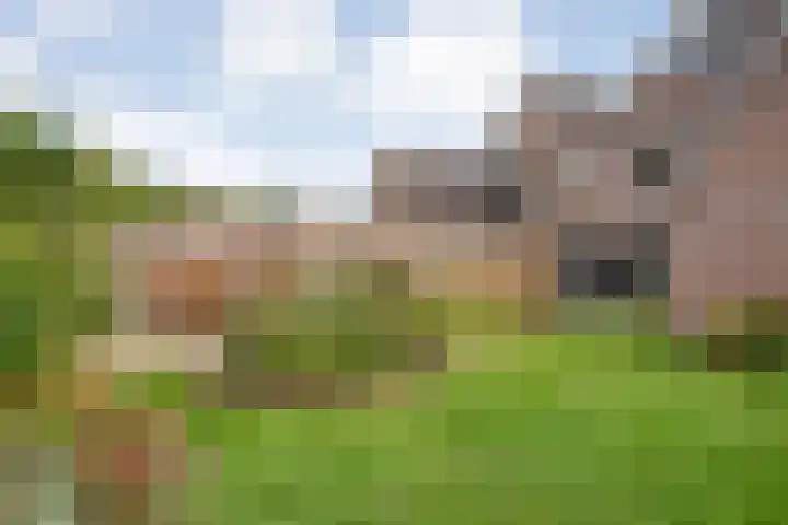 Koezenkamp 38 Dalfsen thumbnail 47