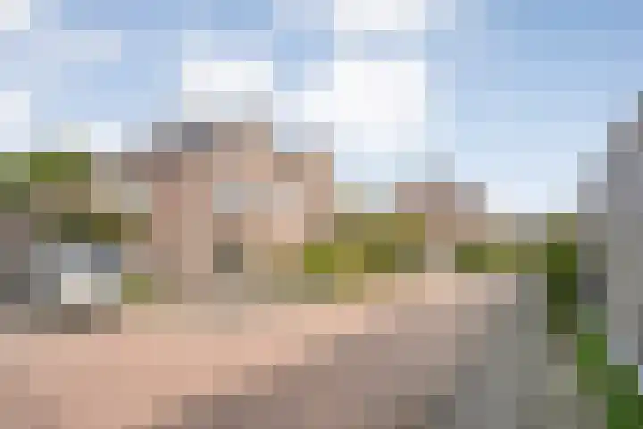 Koezenkamp 38 Dalfsen thumbnail 48