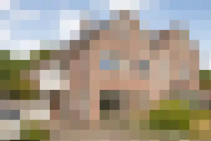 Koezenkamp 38 Dalfsen thumbnail 49