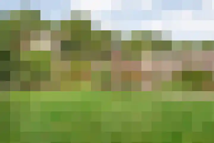 Koezenkamp 38 Dalfsen thumbnail 5