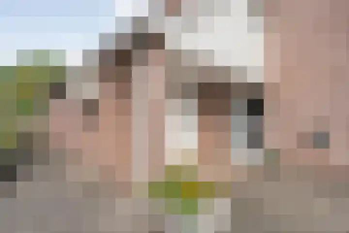 Koezenkamp 38 Dalfsen thumbnail 7