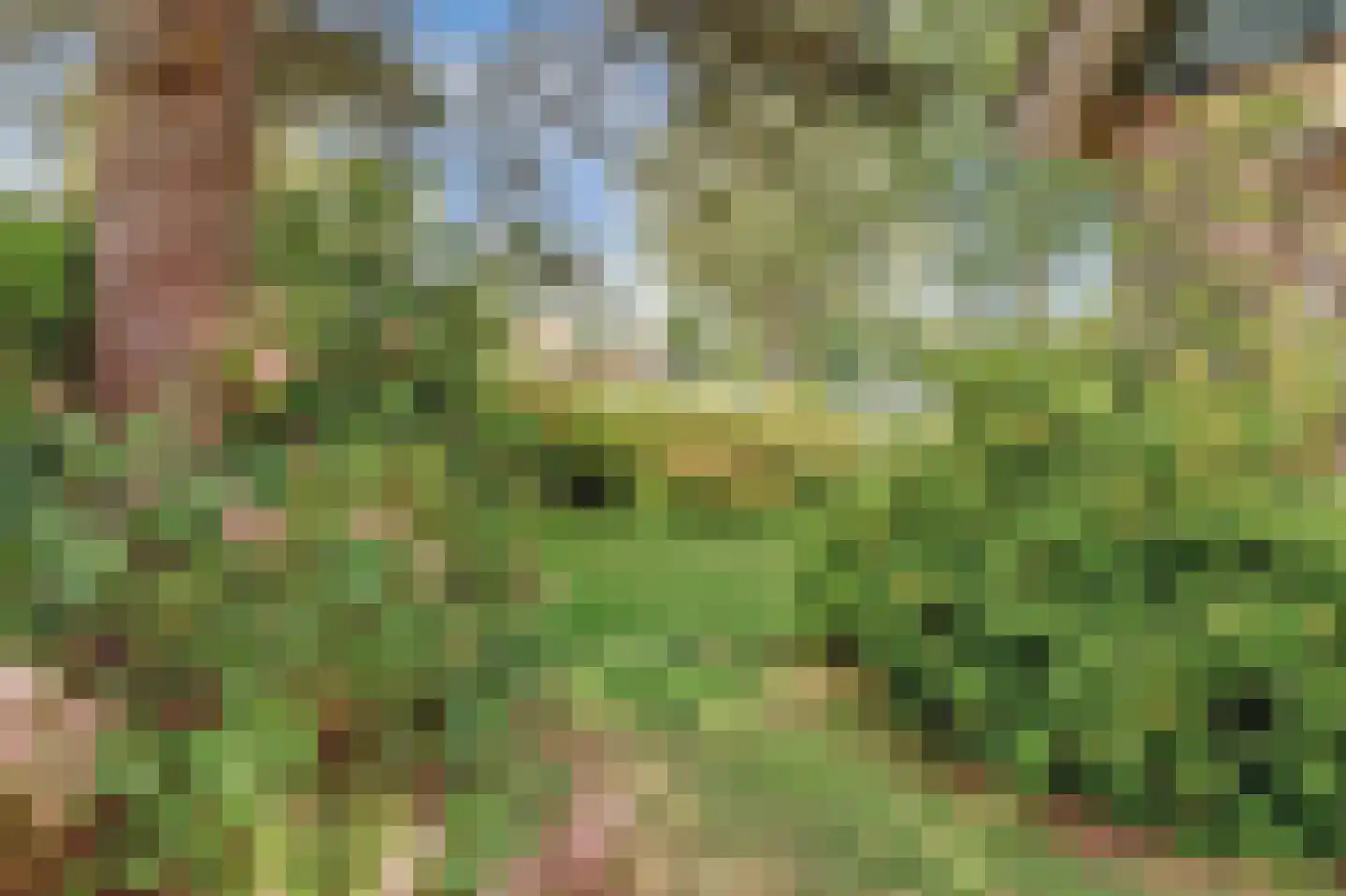 Koffepaed 6 Workum thumbnail 31