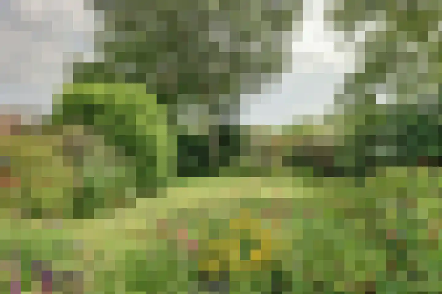 Koffepaed 6 Workum thumbnail 33