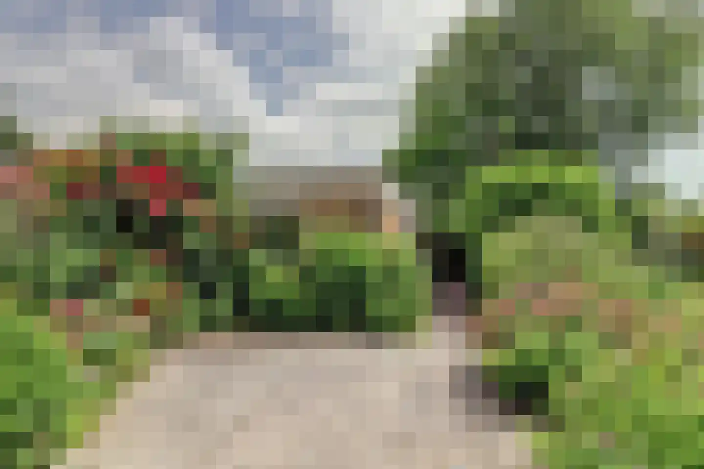 Koffepaed 6 Workum thumbnail 34
