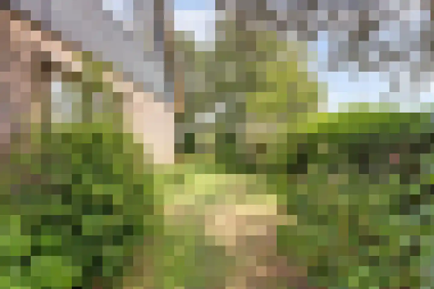 Koffepaed 6 Workum thumbnail 37