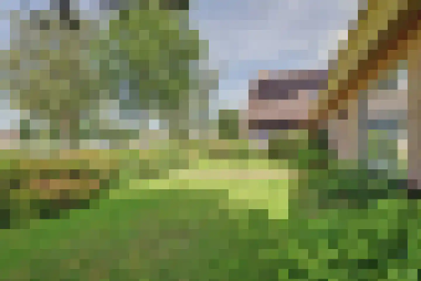 Koffepaed 6 Workum thumbnail 5