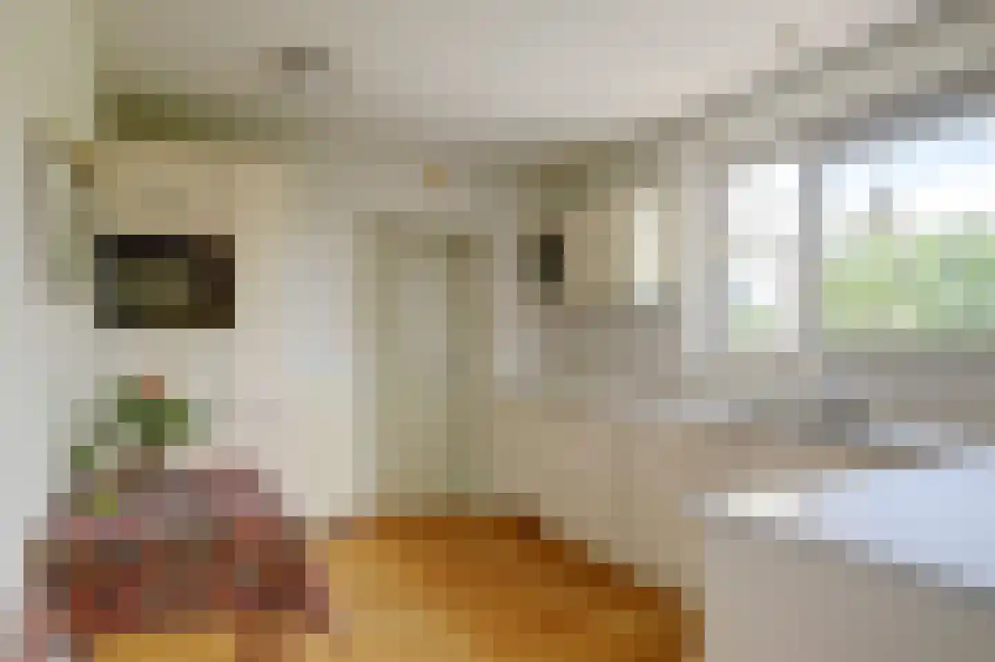 Koffepaed 6 Workum thumbnail 9