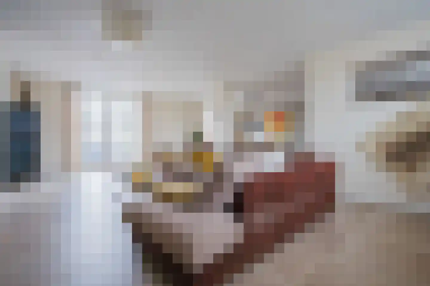 Kofferen 75 Sint-Oedenrode thumbnail 16