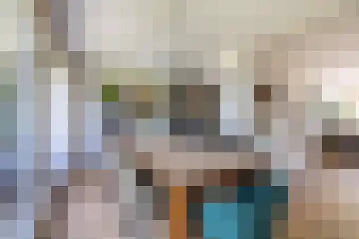 Kofferen 75 Sint-Oedenrode thumbnail 34
