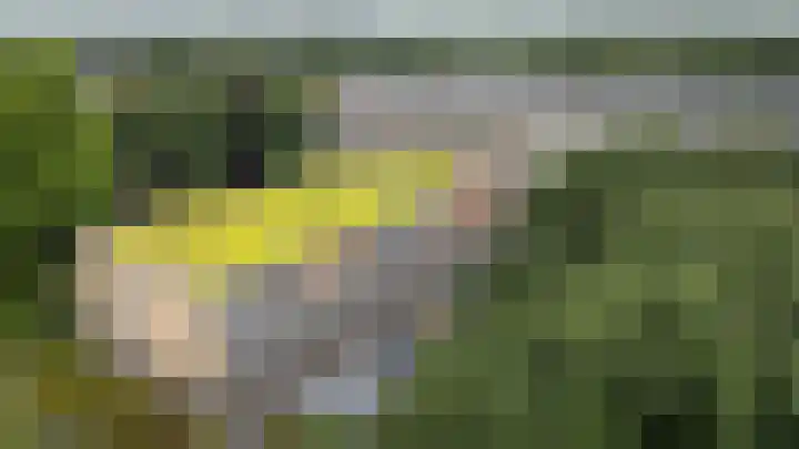 Kofferen 75 Sint-Oedenrode thumbnail 39