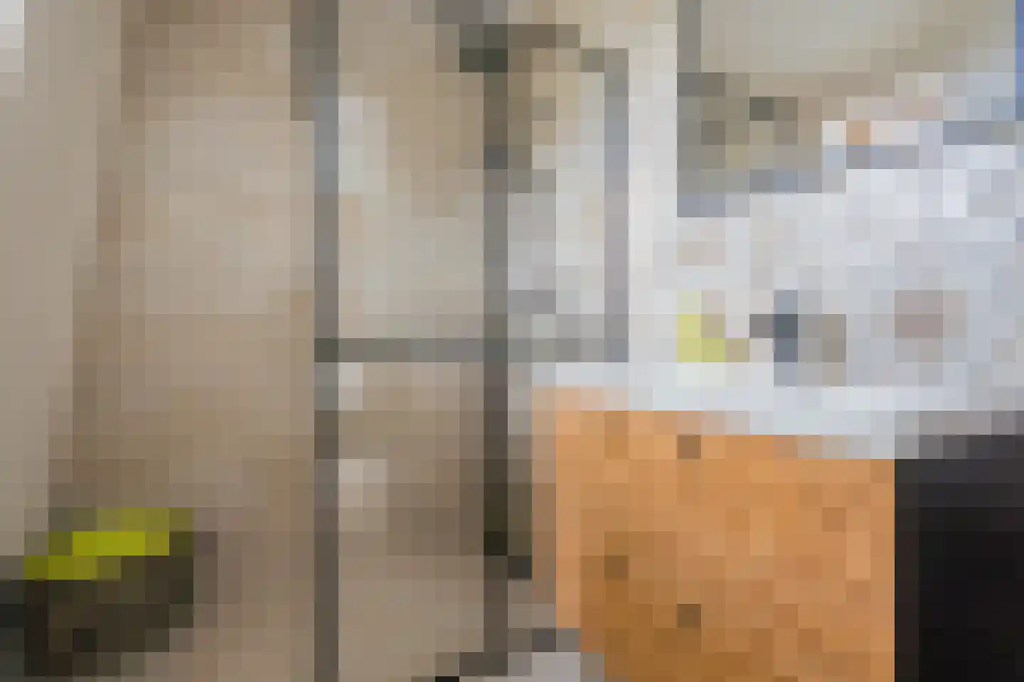 Kofferen 75 Sint-Oedenrode thumbnail 41
