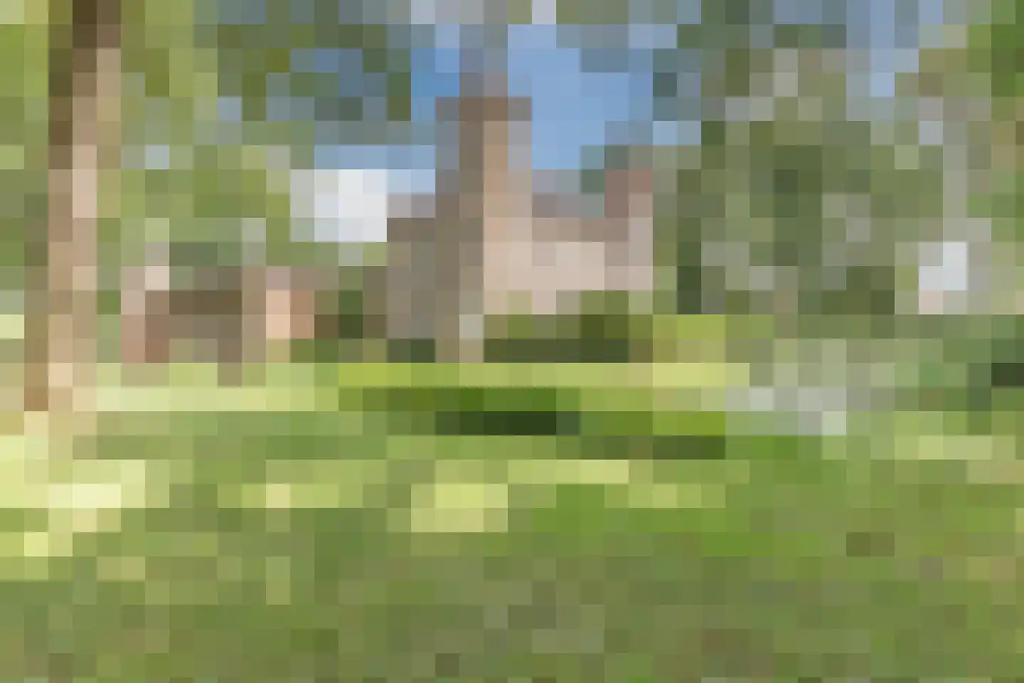 Kofferen 75 Sint-Oedenrode thumbnail 52