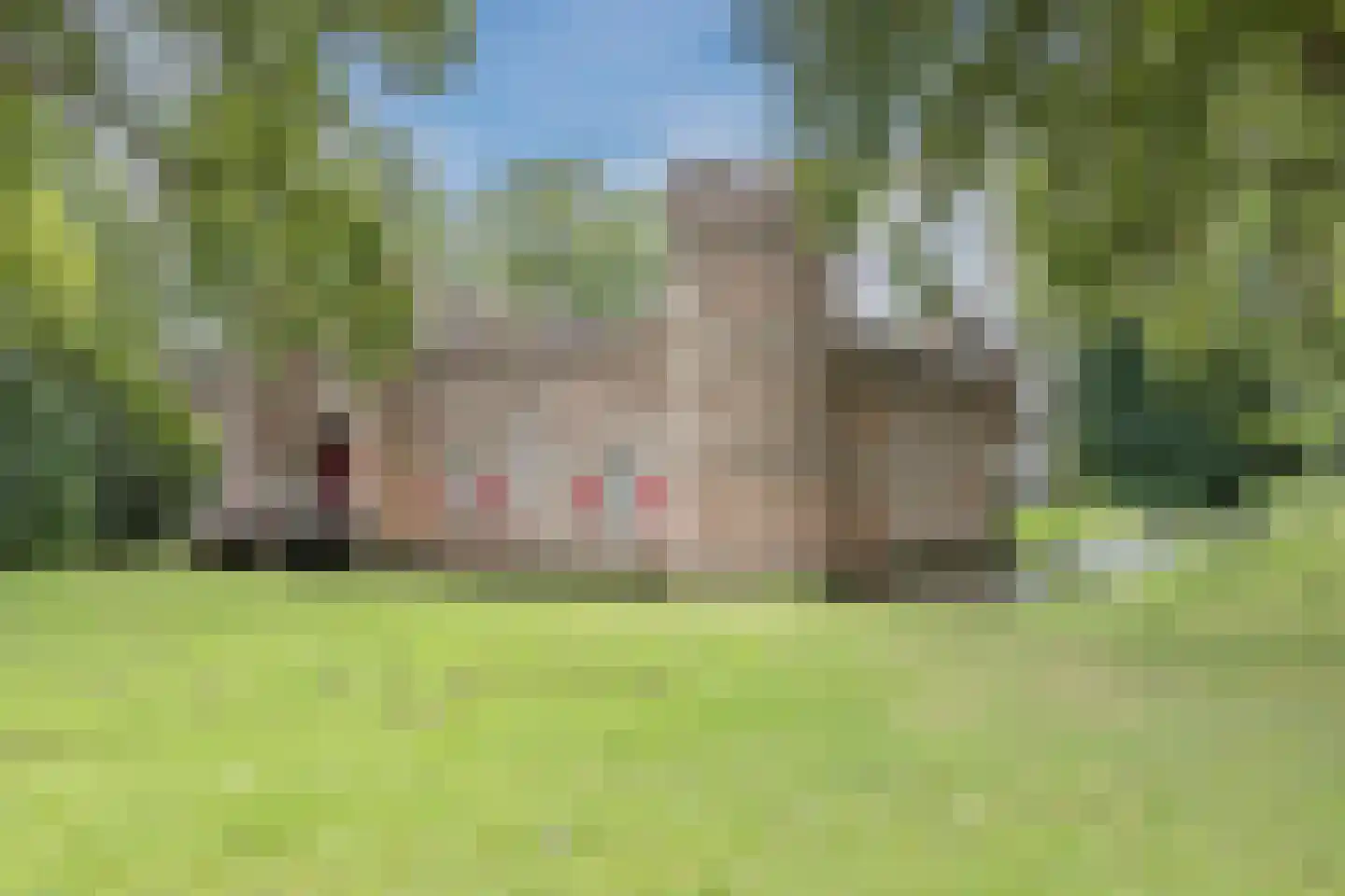Kofferen 75 Sint-Oedenrode thumbnail 50