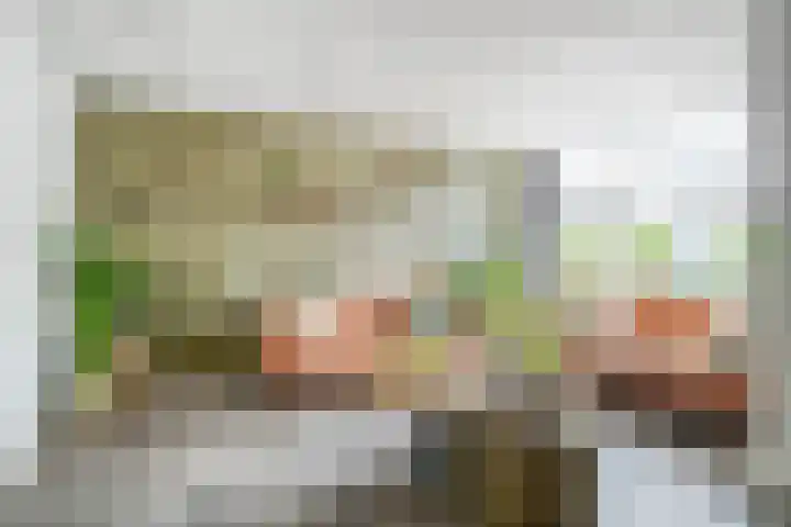 Koffiebos 11 Halsteren thumbnail 10