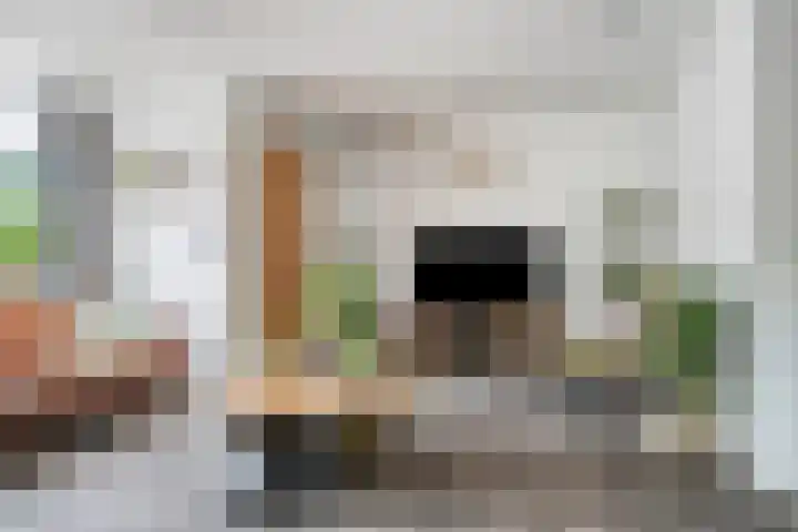 Koffiebos 11 Halsteren thumbnail 11
