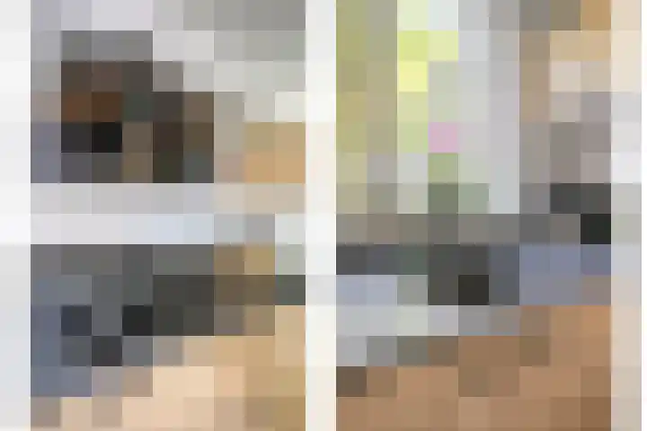 Koffiebos 11 Halsteren thumbnail 18