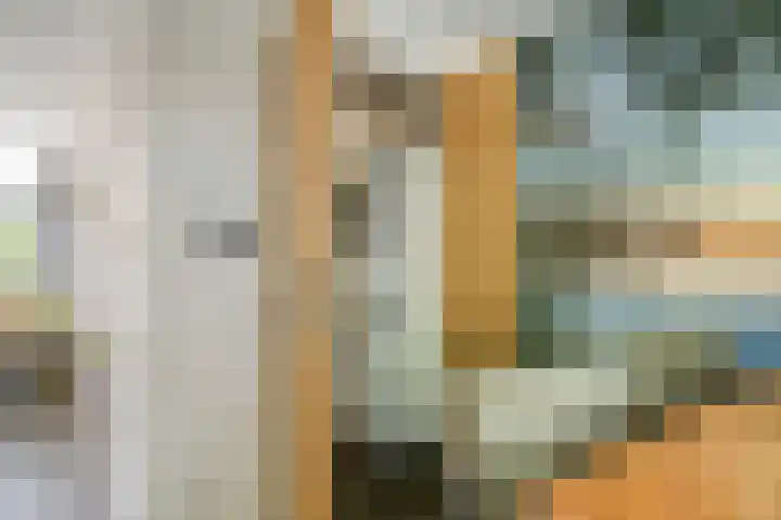 Koffiebos 11 Halsteren thumbnail 19