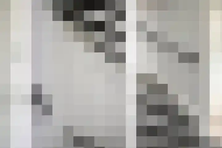 Koffiebos 11 Halsteren thumbnail 20