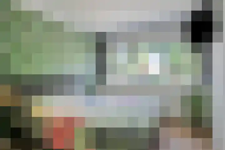 Koffiebos 11 Halsteren thumbnail 23