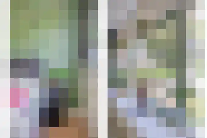 Koffiebos 11 Halsteren thumbnail 24