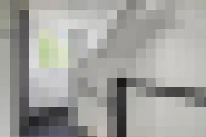 Koffiebos 11 Halsteren thumbnail 28