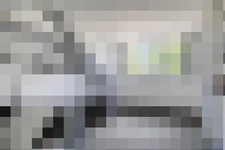 Koffiebos 11 Halsteren thumbnail 31